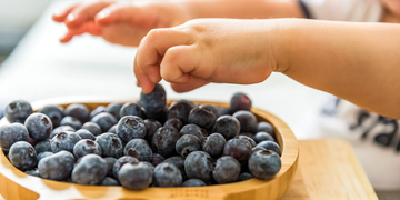 baby hands take blueberries